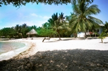 Imagen Isla Barú